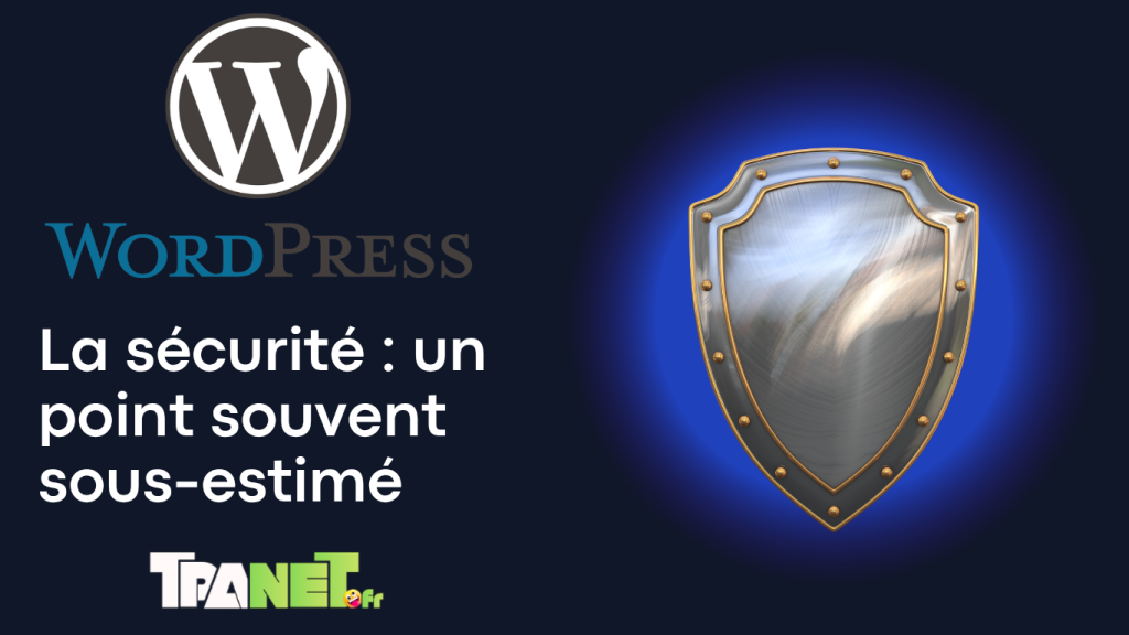 Pourquoi travailler avec WordPress en France ? 13 Pourquoi travailler avec WordPress en France ?
