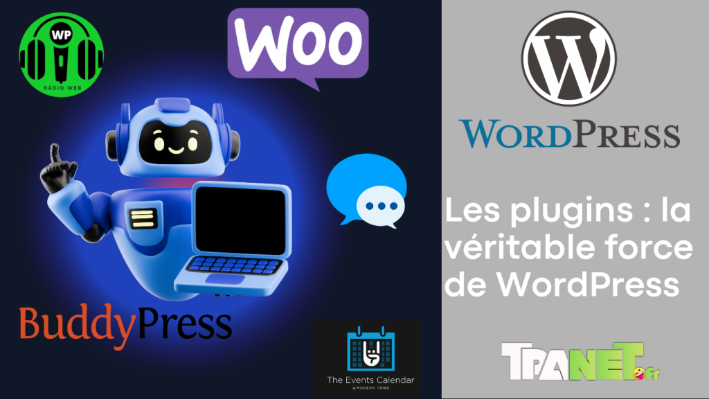 Pourquoi travailler avec WordPress en France ? 9 Pourquoi travailler avec WordPress en France ?